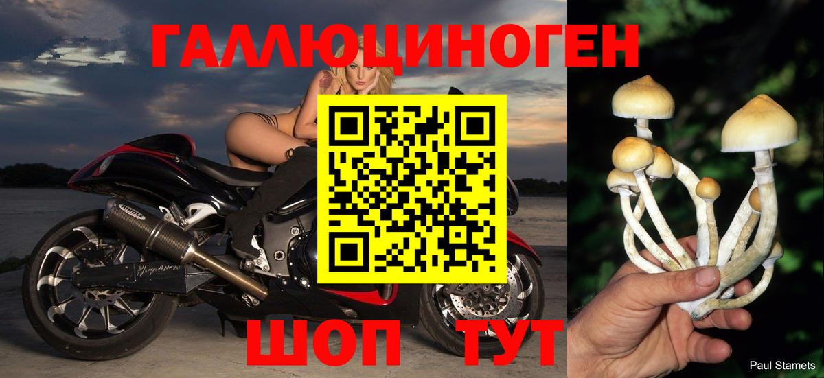 Псилоцибиновые грибы Psilocybine cubensis  Вход с VPN  Псилоцибиновые грибы мухоморы  Фрязино 
